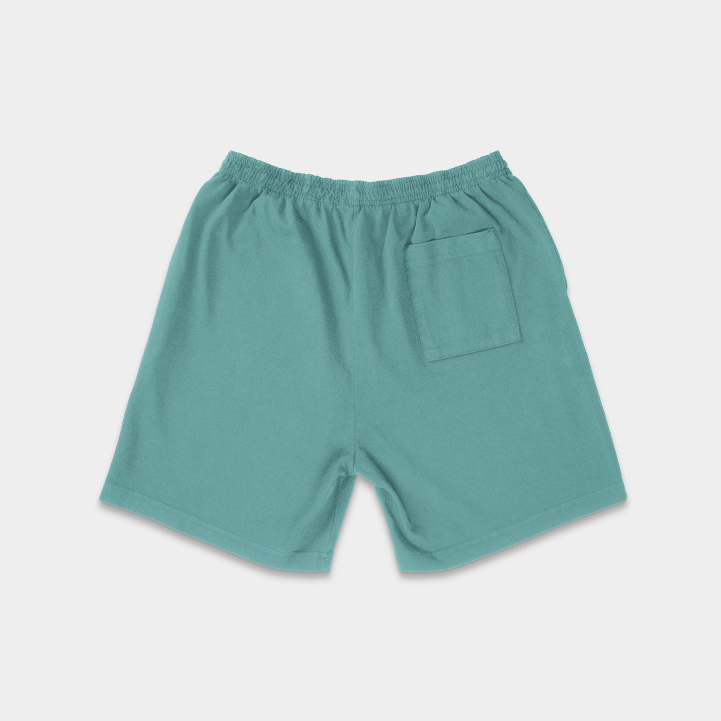 [TWO/ONE SUNS] Shorts - Aqua